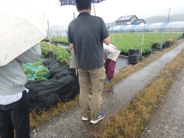 20250609144514.JPG