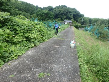 20250618141955.JPG