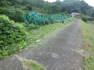 20250618141956.JPG