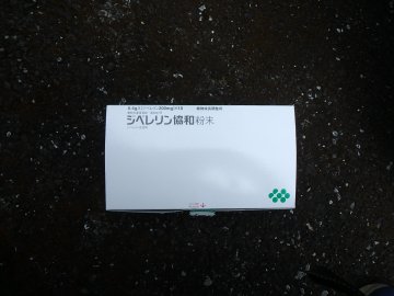 20250711152221.JPG
